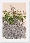 DSC02790 * 2176 x 3264 * (2.81MB)