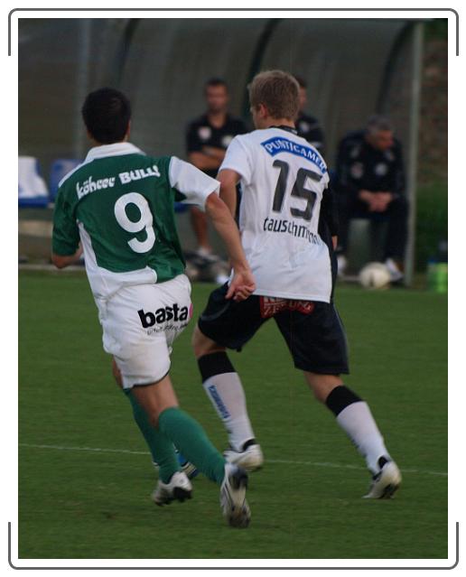 Nächstes Bild
