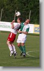 P6110052 * 1305 x 2148 * (553KB)