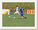 P8300181 * 3648 x 2736 * (2.1MB)