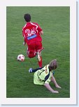 P4220027 * 1859 x 2637 * (968KB)